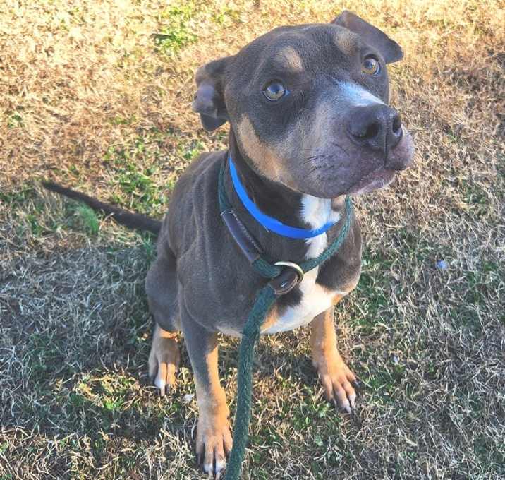 Photo of Peanut Brittle