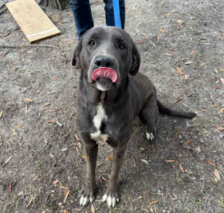 Photo of Penelope ‼️