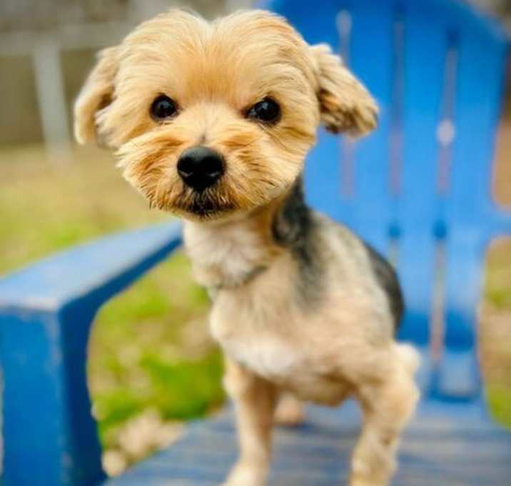 Photo of Hulk Nov 25