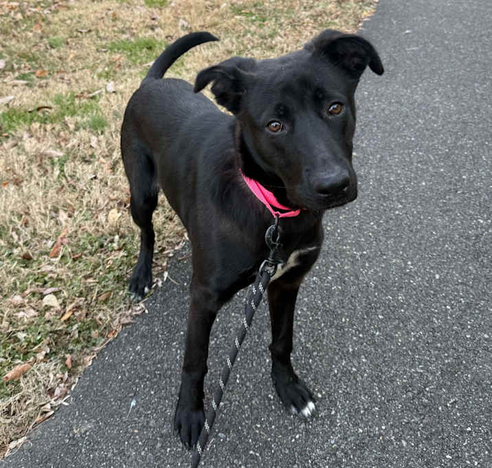 Photo of Jessie's Girl