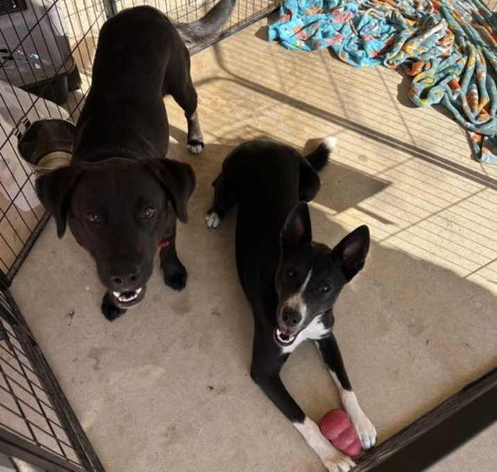 Photo of Jack & Sylphrena