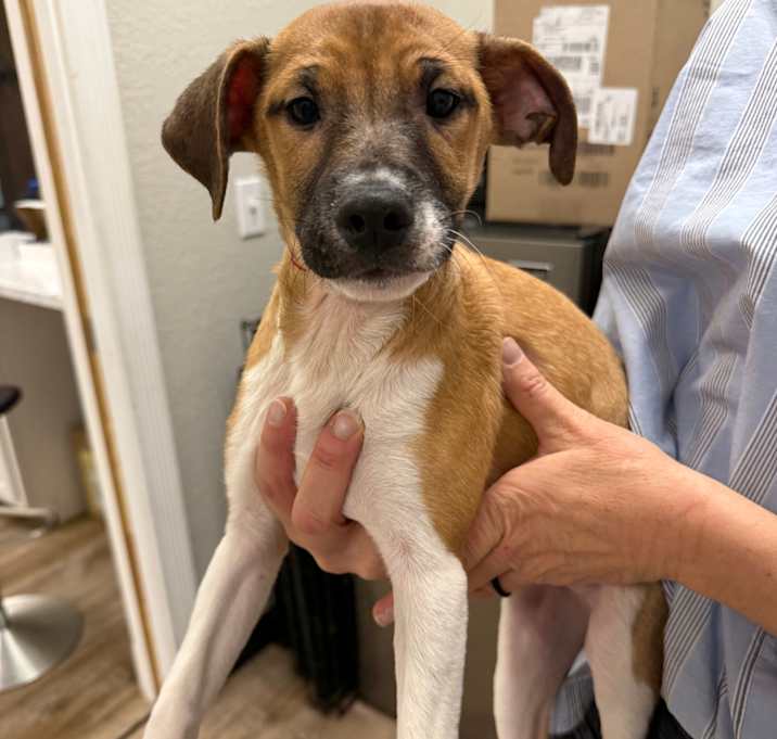 Photo of 944 (2025) Jeff