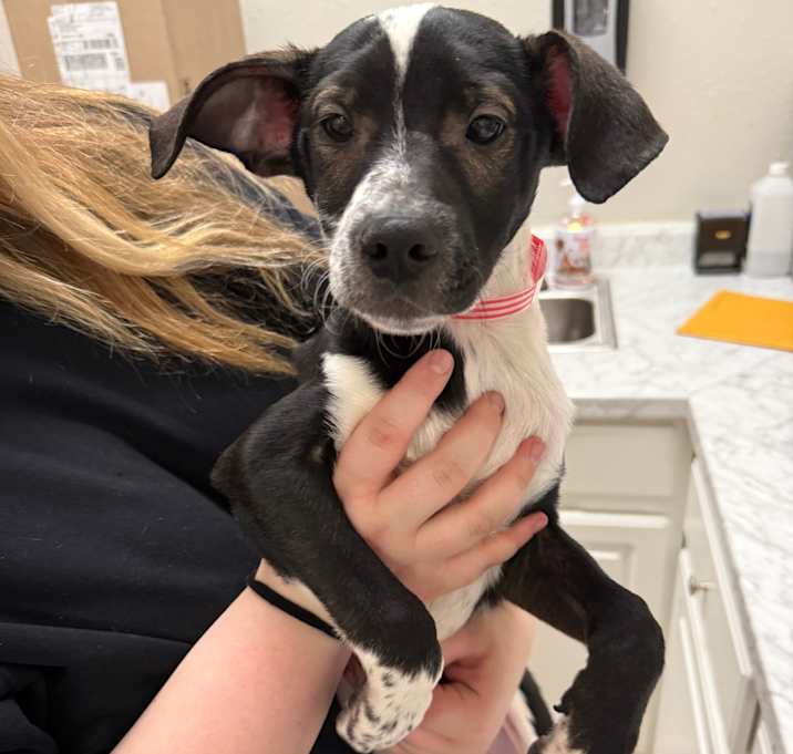 Photo of 946 (2025) Ben