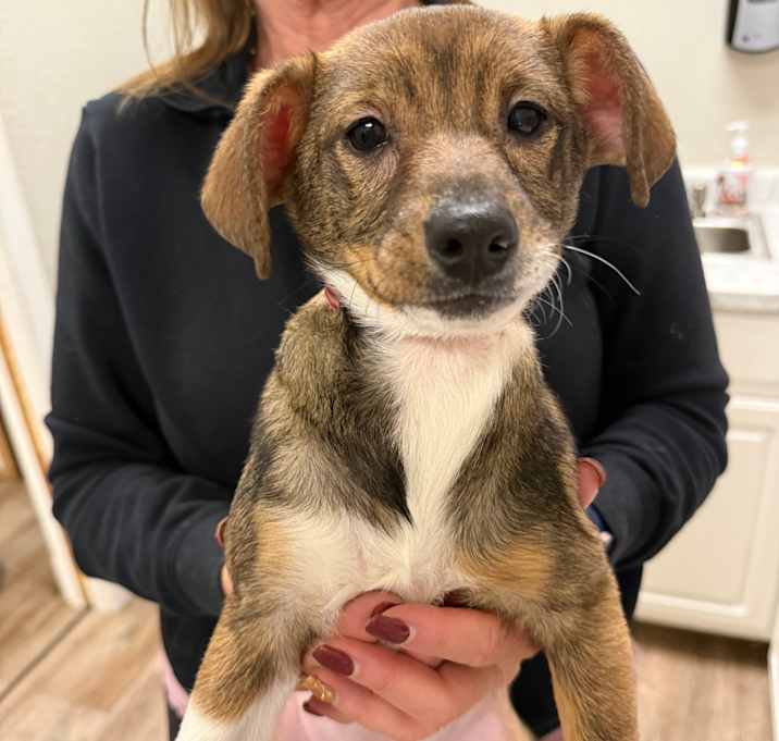 Photo of 945 (2025) Parker