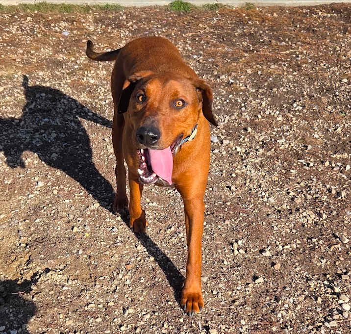 Photo of Beefcake "Beefy" McGee