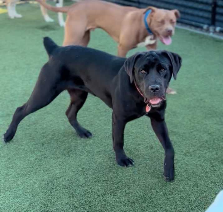 Photo of Juniper A5715504