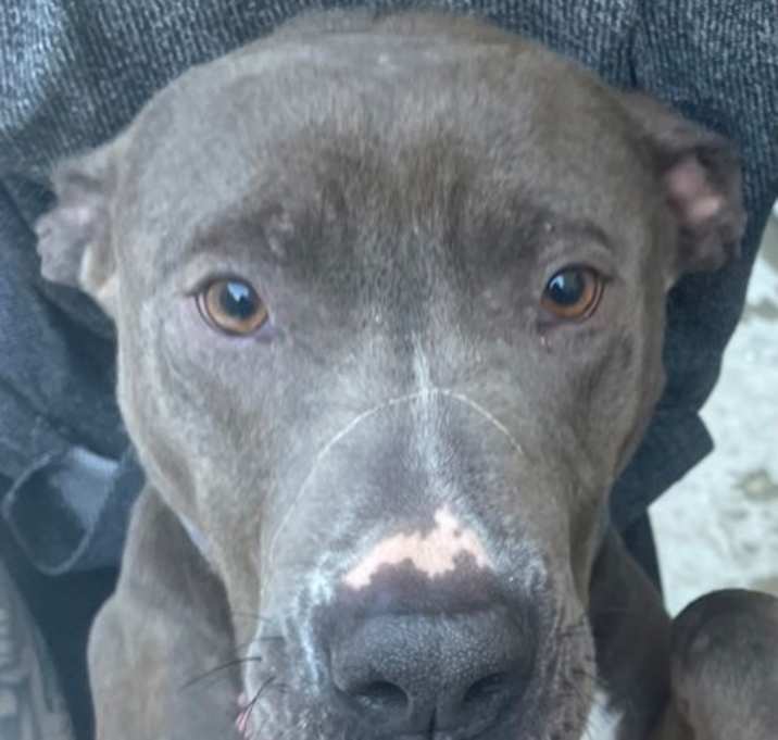 Photo of Mississippi