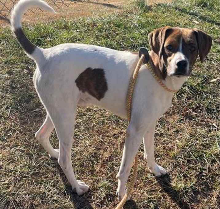 Photo of RICKIE BOBBY