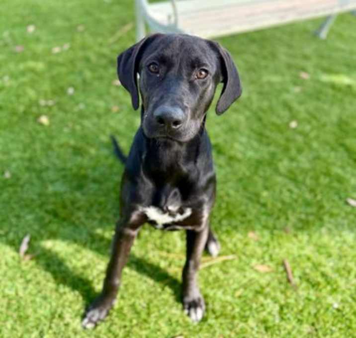 Photo of Alberto - 1