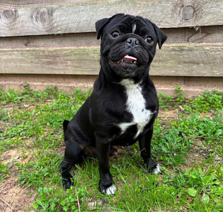 Photo of Butter ball