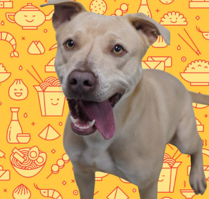 Photo of Ramen Noodle