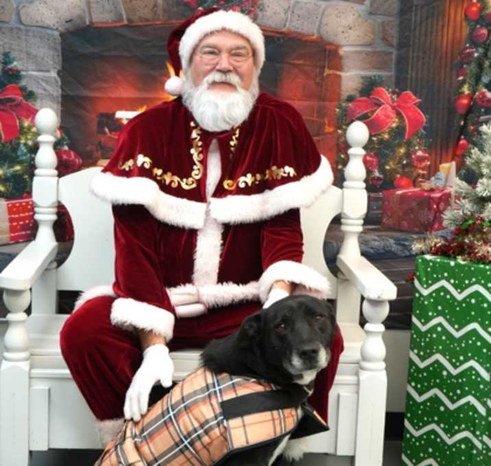 Photo of Bruno (NO CATS)