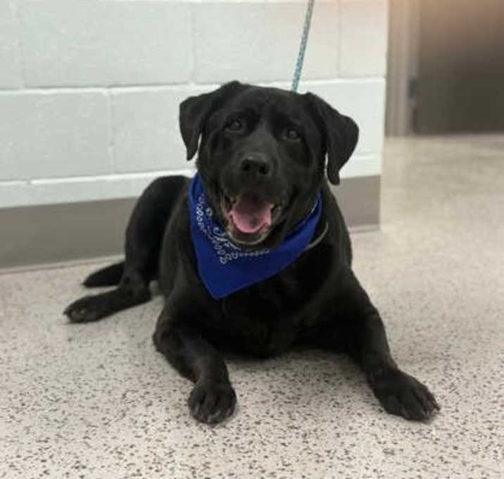 Photo of 25-616D Max