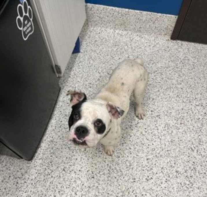 Photo of Fuzzy Lumpkins