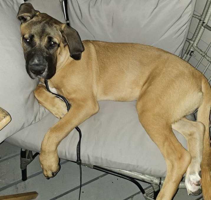 Photo of Xzyna (Xena)