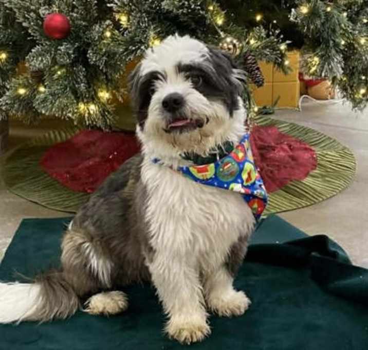 Photo of Milo- By Appointment Only