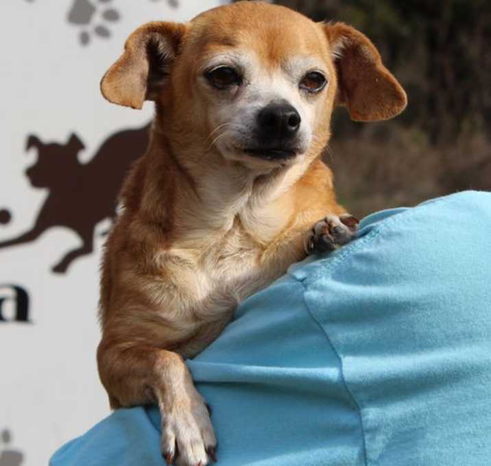 Photo of Granny Panties 42883