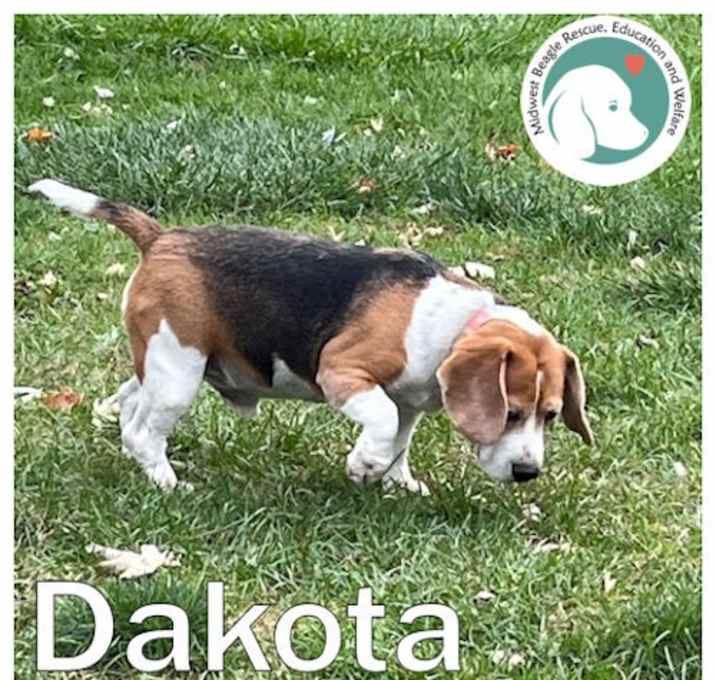 Photo of Dakota