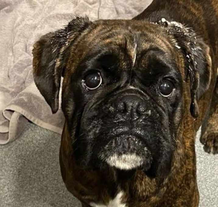 Photo of PEPPERMINT PATTY