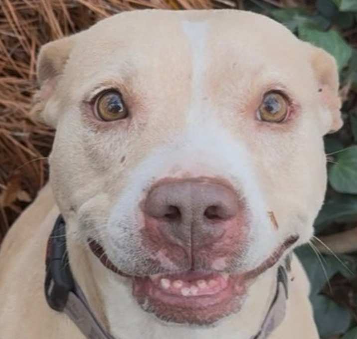 Photo of Athena Clayton