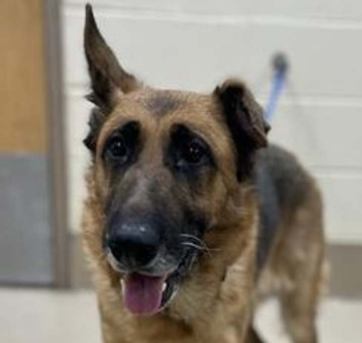 Photo of Trophy Female