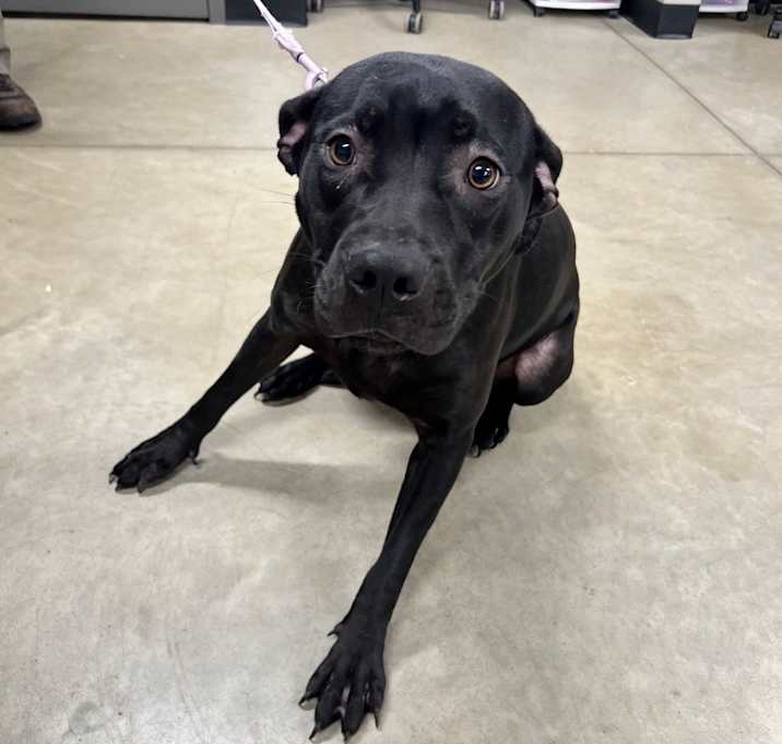 Photo of Nova - Fee Waived