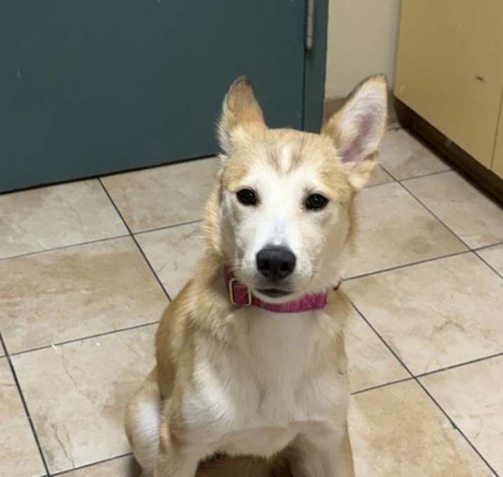 Photo of Taylor (mcas)