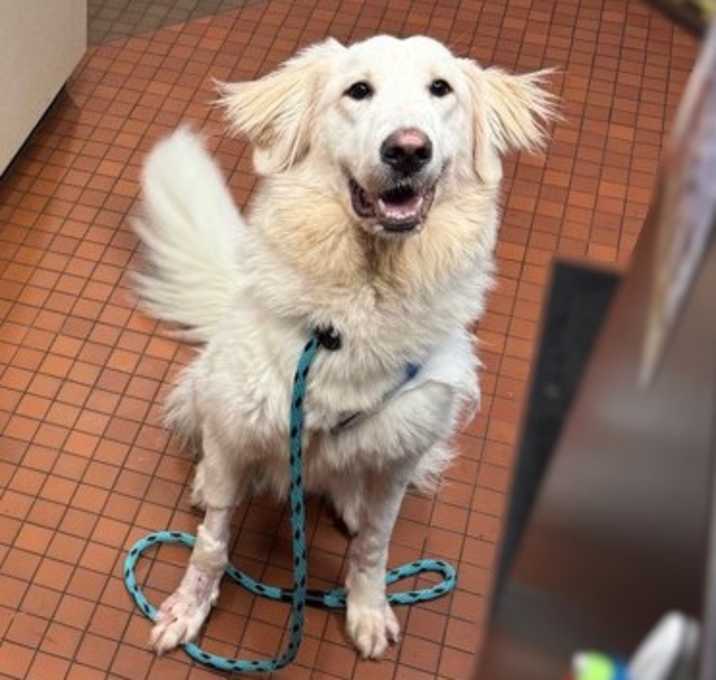 Photo of Izzy Snowflake