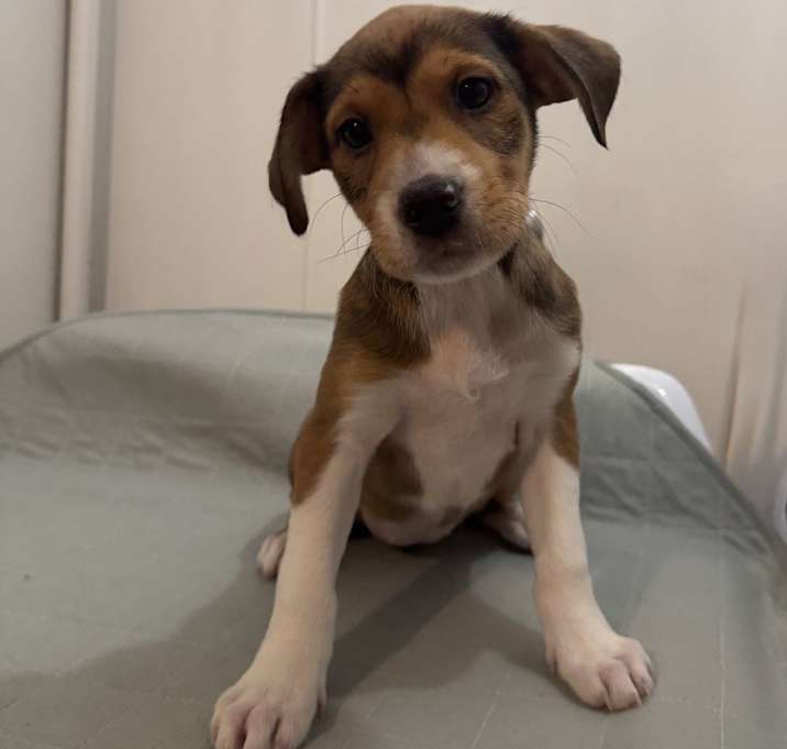 Photo of Rosie the Riveter