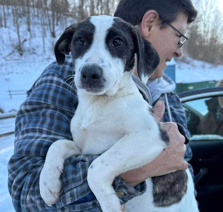 Photo of Disco puppy: Macho Man