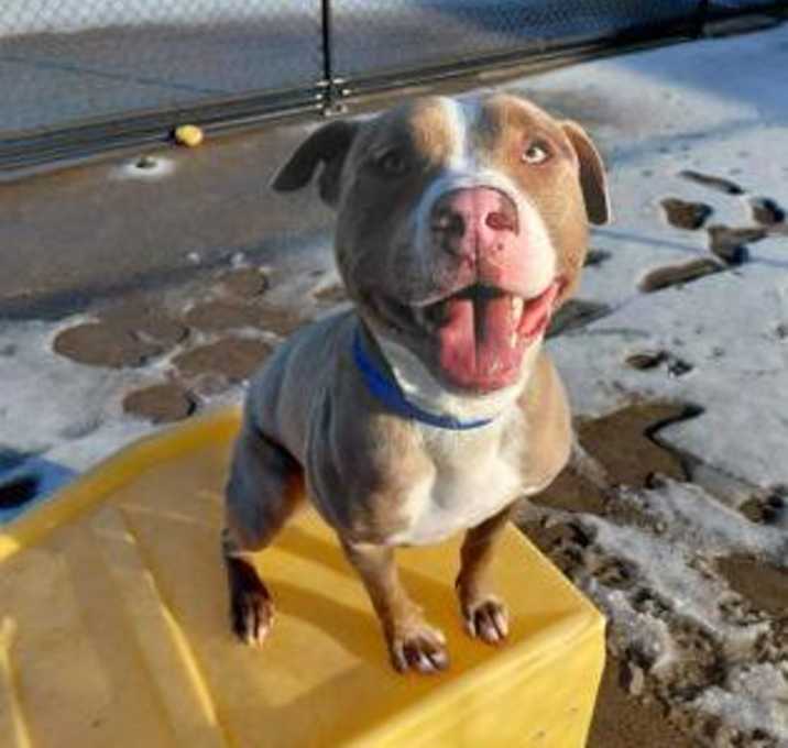 Photo of Steve Harrington