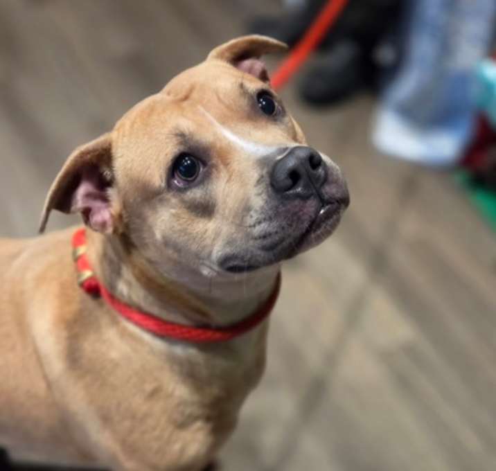 Photo of Honey Cnty-137