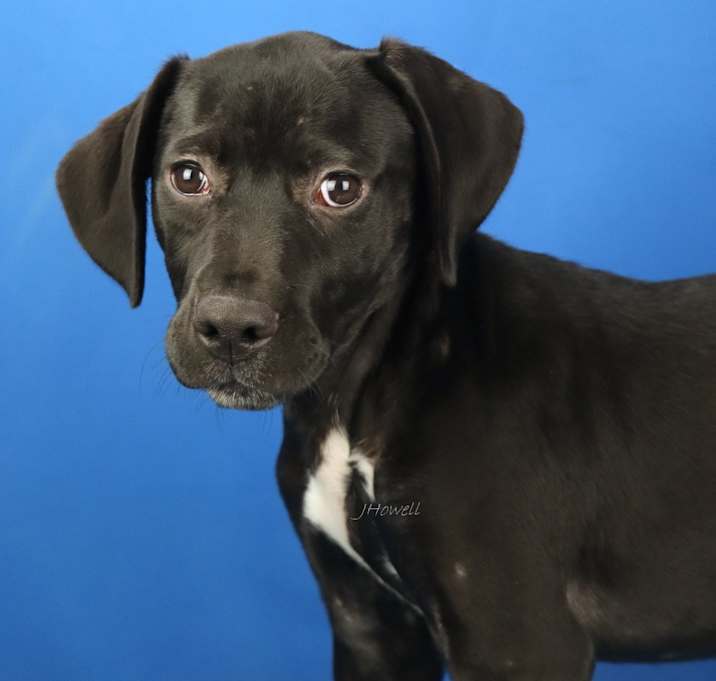 Photo of Valeria - 110102T