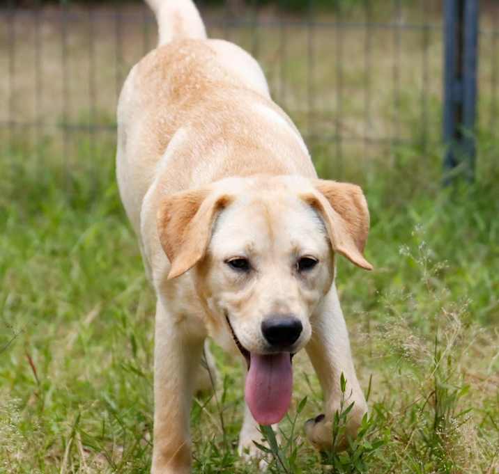 Photo of Daisy AKA Crumpet