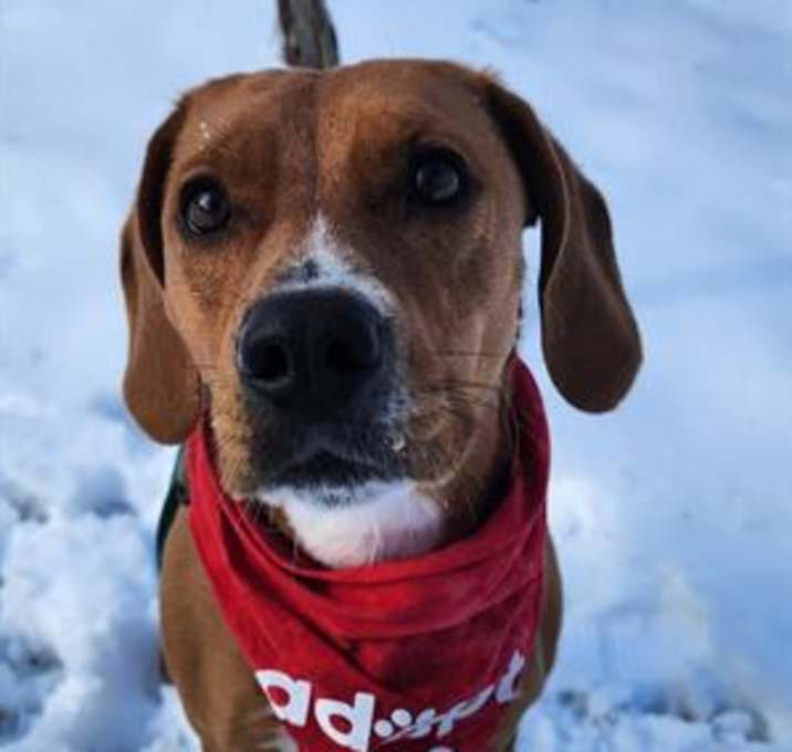 Photo of PEPPERMINT PATTY