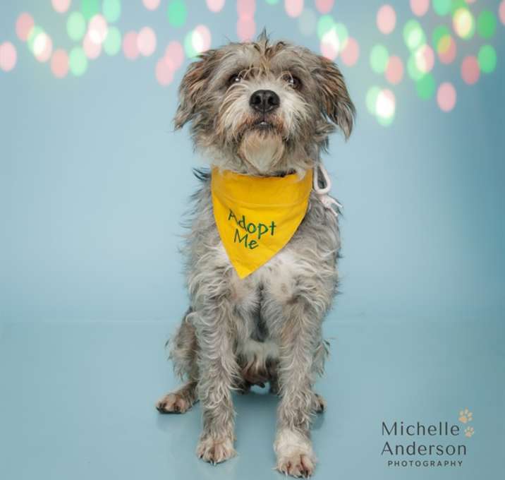 Photo of PATTY CAKES