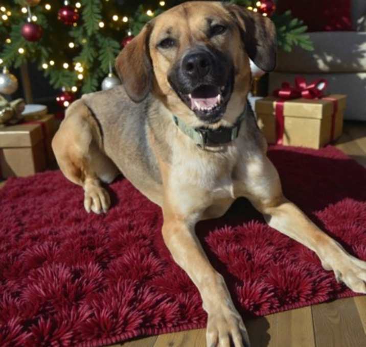 Photo of Betty white