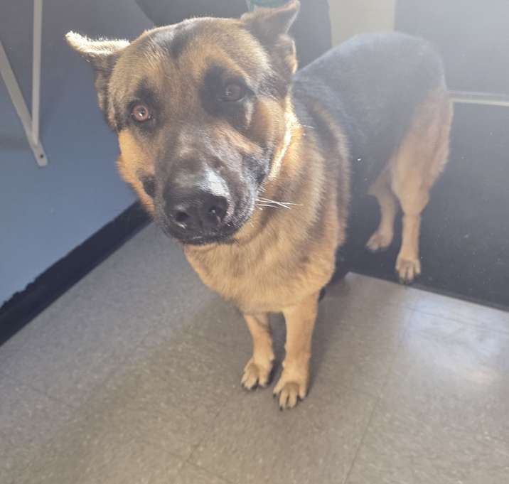 Photo of Teloch 25-12-057