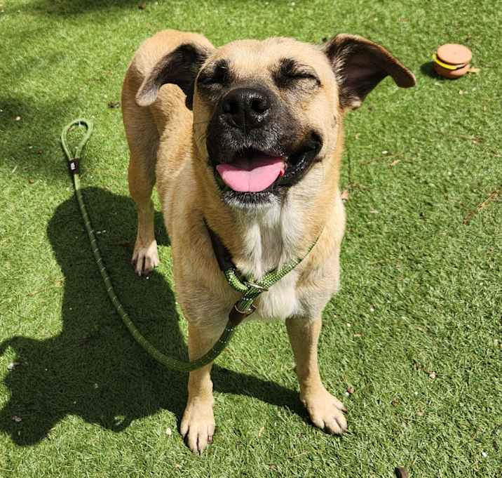 Photo of Frances JuM