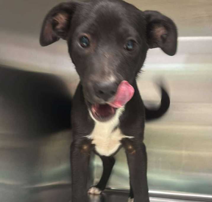 Photo of Lennox 25-11-126