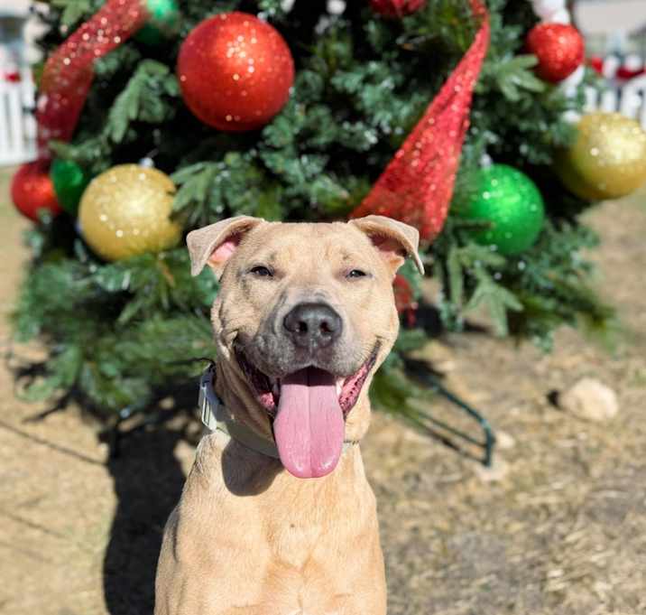 Photo of Caleb (Milo)