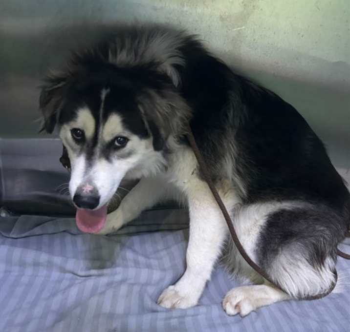 Photo of DIANA PRINCE