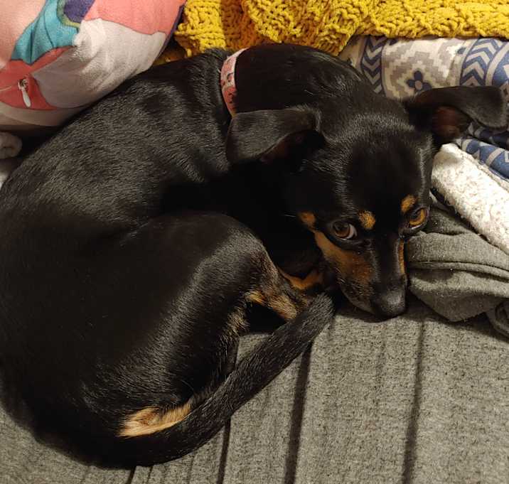 Photo of Willow Grace