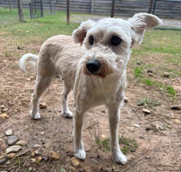 Photo of Nancy Wheeler