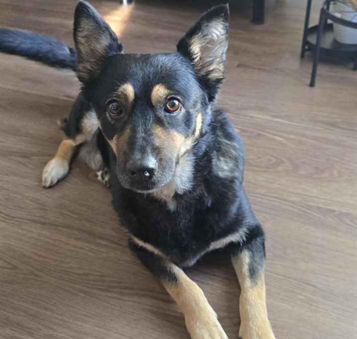 Photo of HURRICANE LUCY