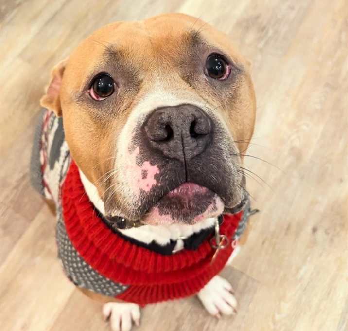 Photo of BIG HANDSOME