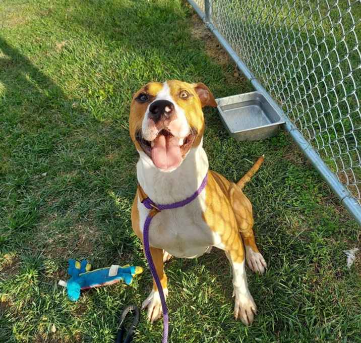 Photo of MOTION CITY SOUNDTRACK