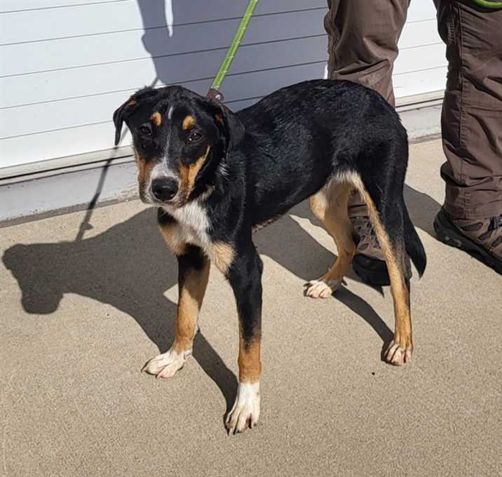 Photo of MOLLYWOMPUS