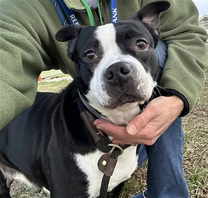 Photo of RING MY BELLA