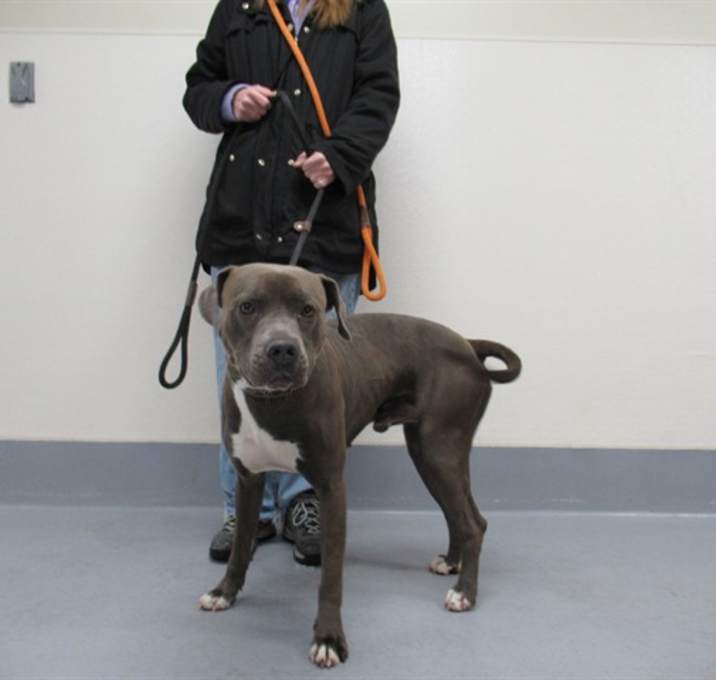 Photo of BABY IT'S COLD OUTSIDE